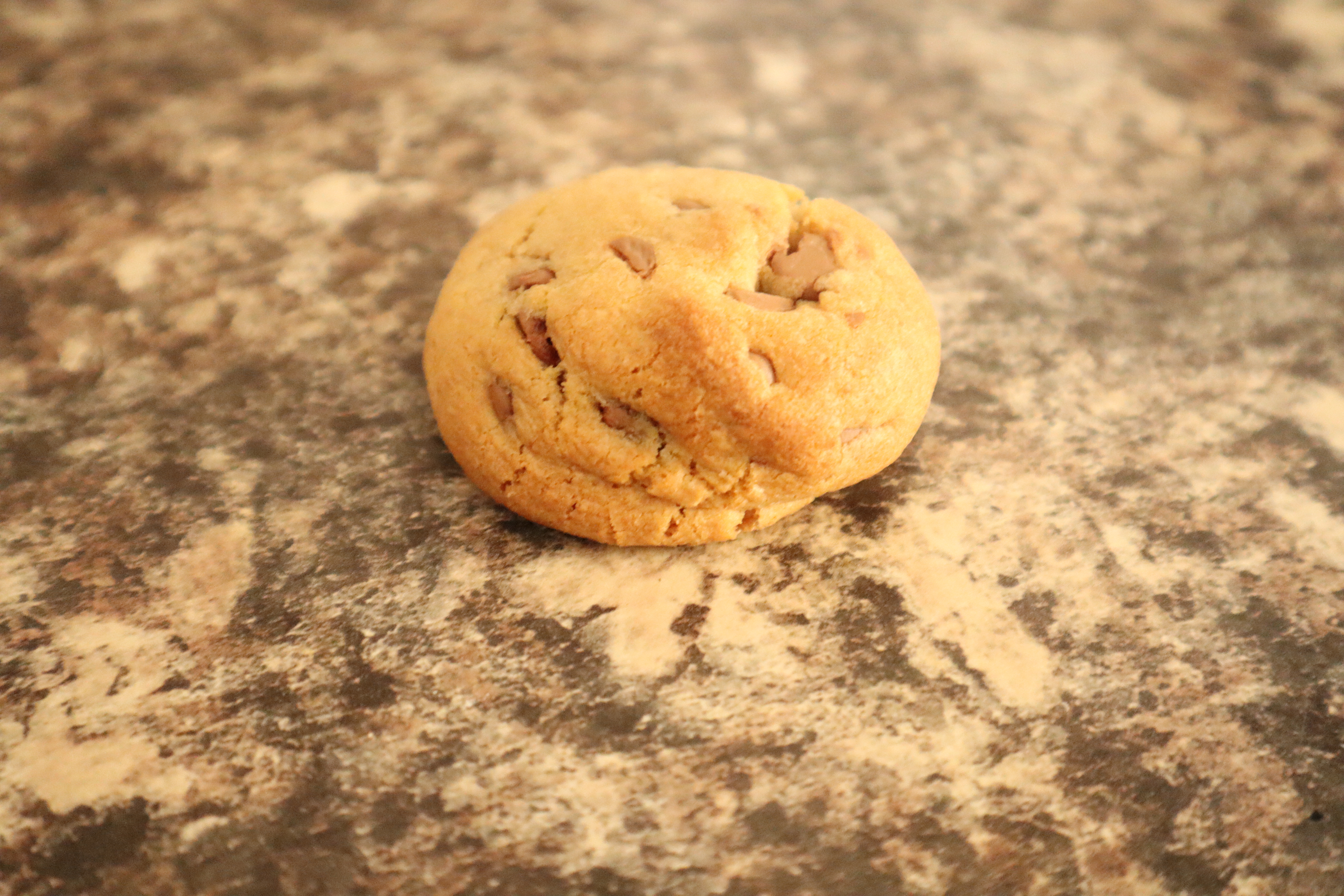 Chocolate Chip Cookie 2