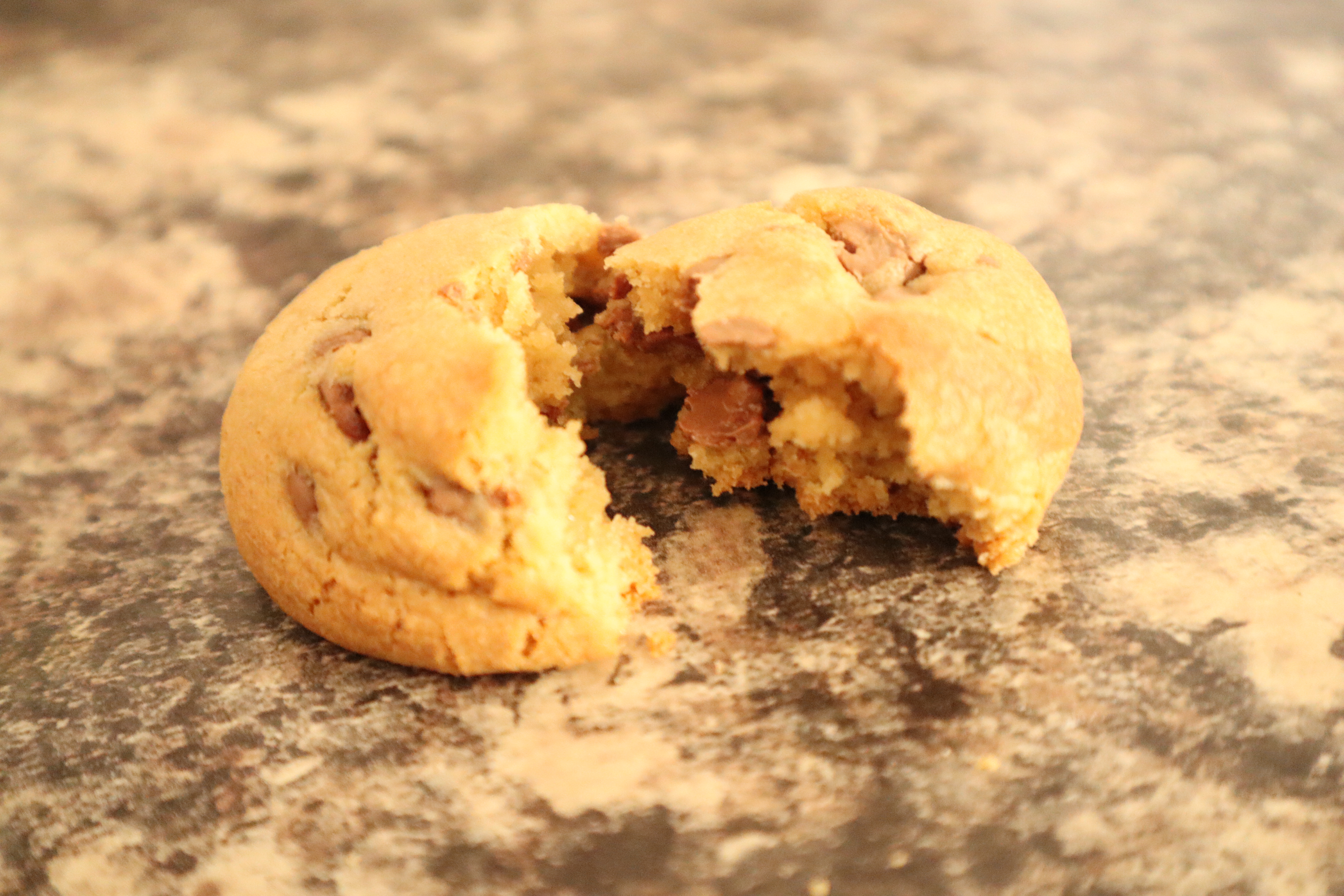 Chocolate Chip Cookie 3